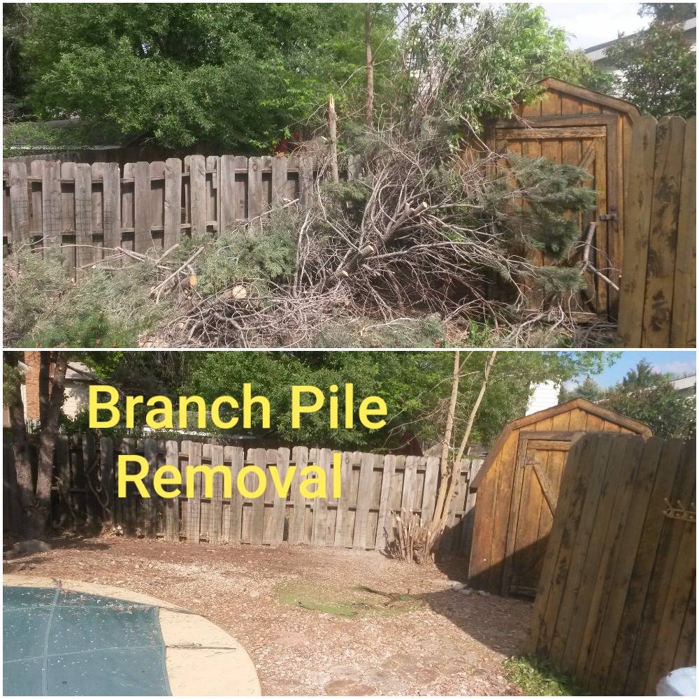 Estate cleanout and junk removal service in Fort Collins