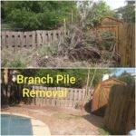 Fort Collins Branch Pile Removal Service