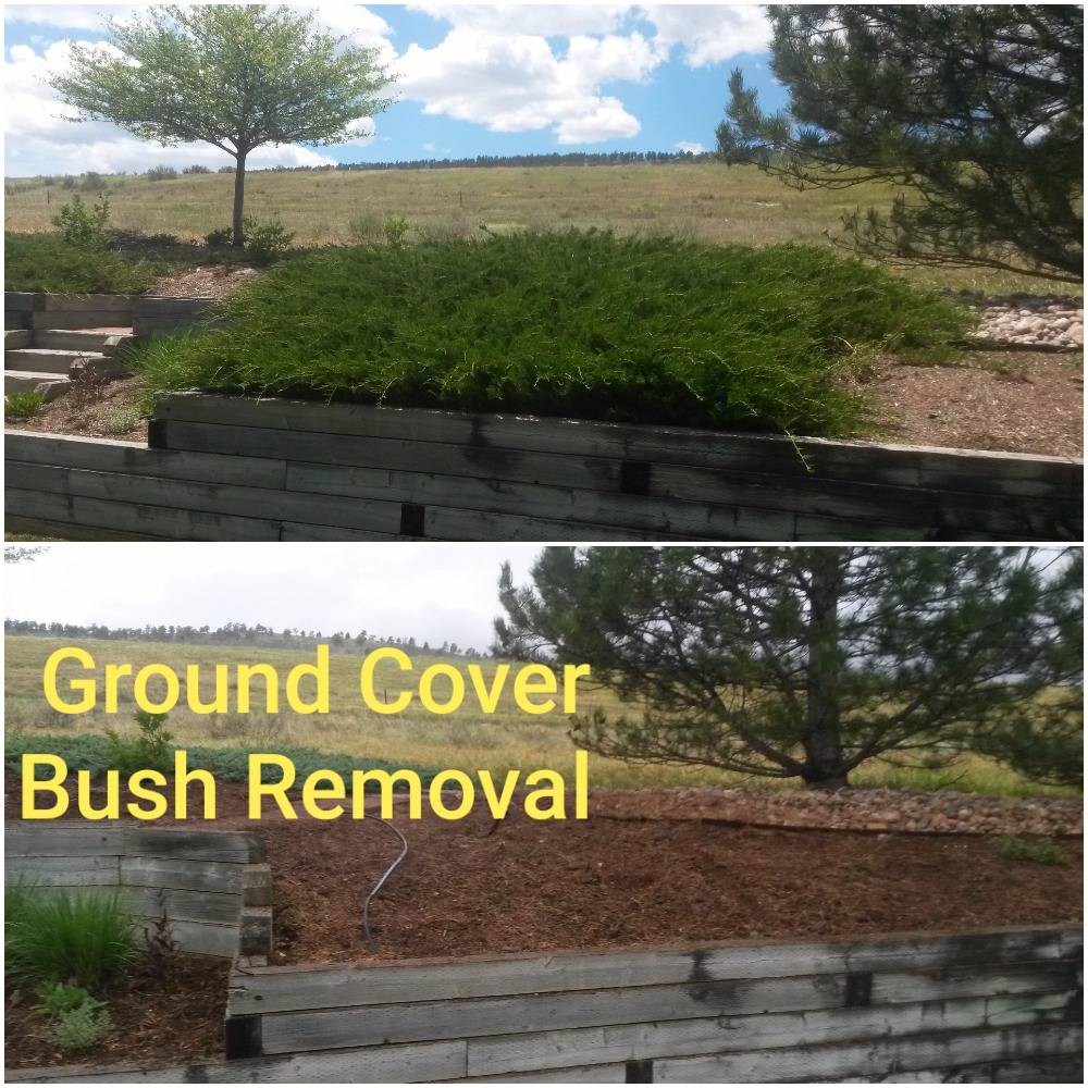 Junk removal project in Fort Collins area