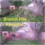 Branch pile removal service in Greeley, CO by Fort Collins Junk Removal and Demo.