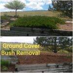Ground cover and bush removal service in Greeley, CO by Fort Collins Junk Removal and Demo.