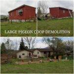 Large chicken coop demolition and junk removal project in Loveland by Fort Collins Junk Removal and Demo. Safe and efficient teardown for backyard structures.