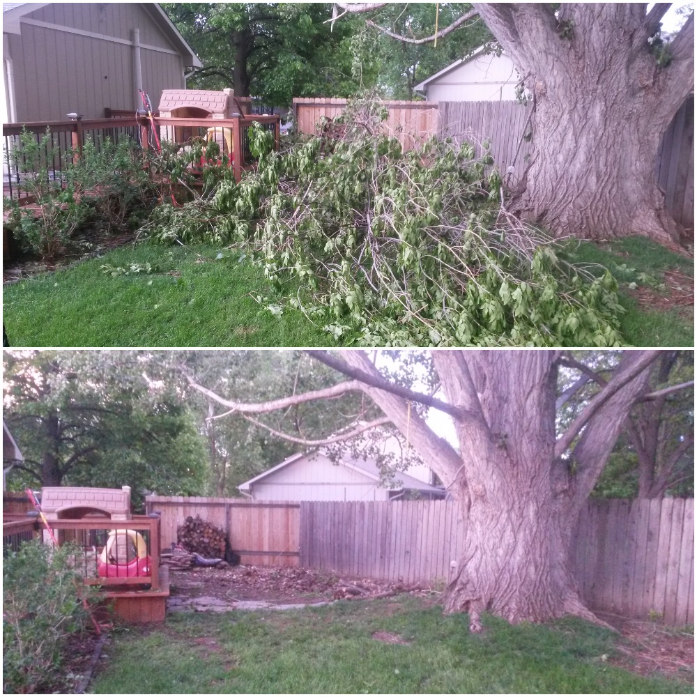 Branch and yard debris removal before and after